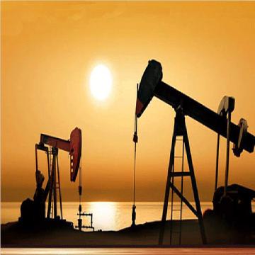 Drilling Petroleum Machinery Bearing Mud Pumps 37951K Bearings