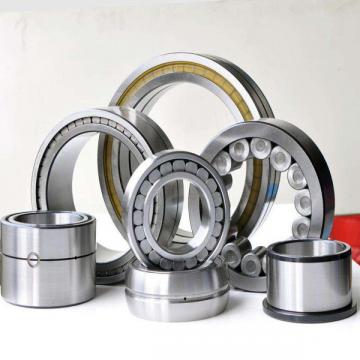 11185-RIT Rotary Table Bearings