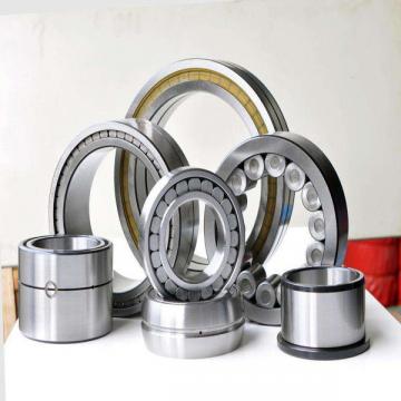 106176 Mud Pump Crankshaft Bearing