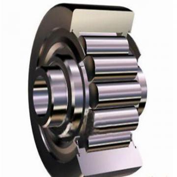 12W85 Centrifugal Pump Bearings